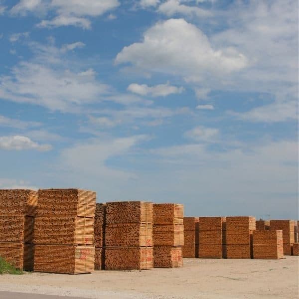 Lumber Test editv2